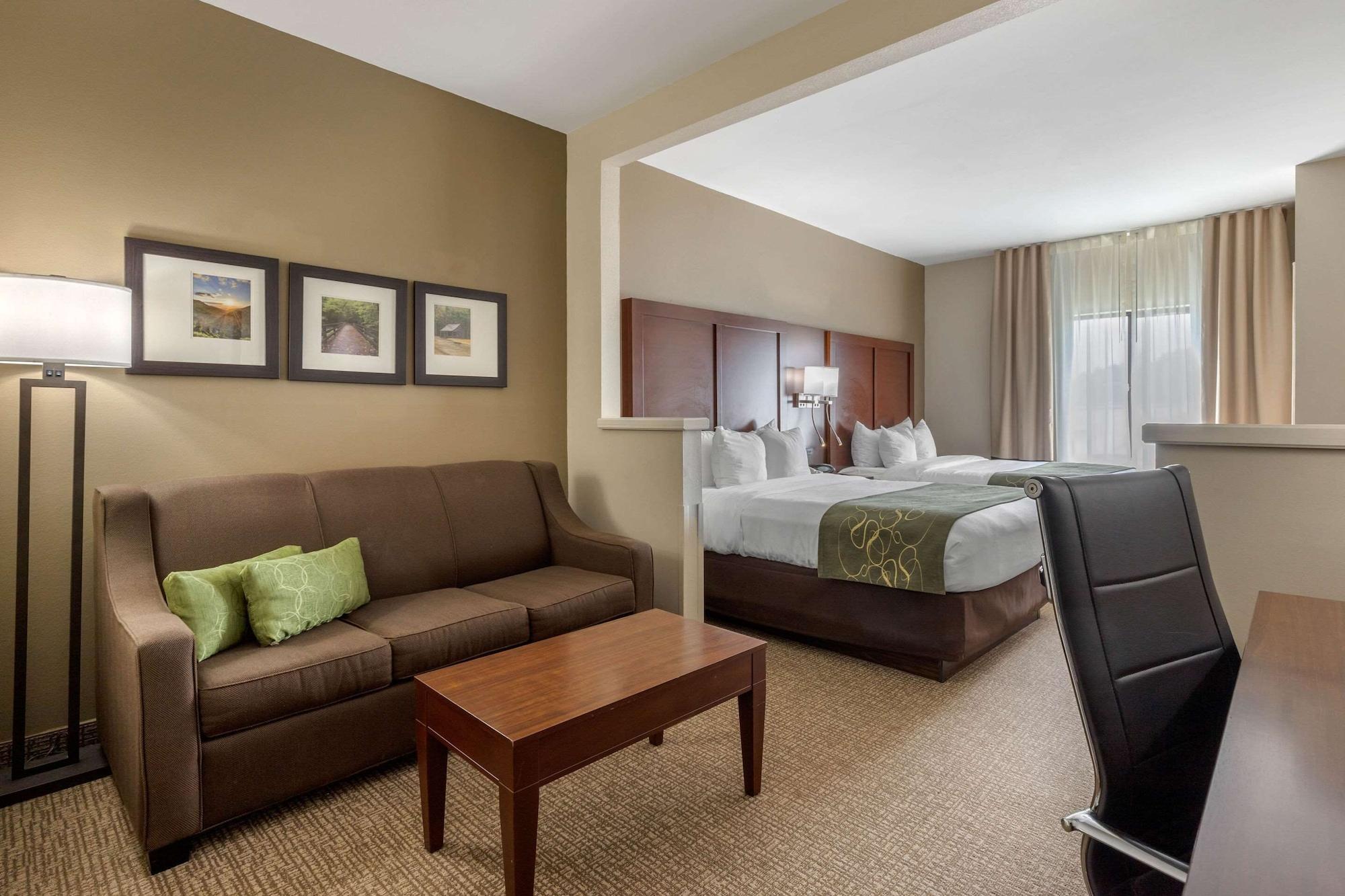 Comfort Suites Johnson City Near University Eksteriør bilde