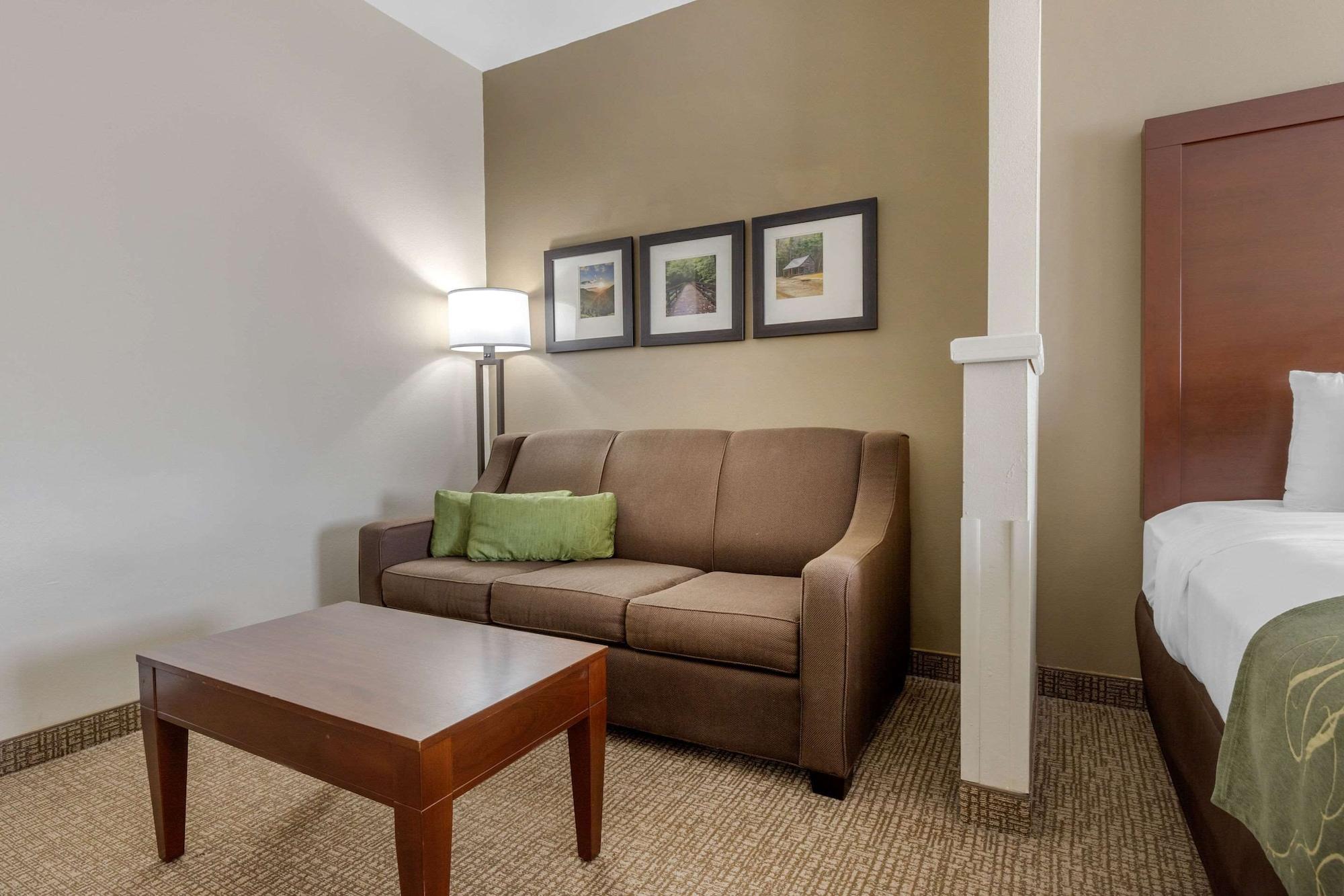 Comfort Suites Johnson City Near University Eksteriør bilde